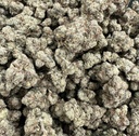 In House Genetics Platinum Gorilla Fem 3St. Bild 2