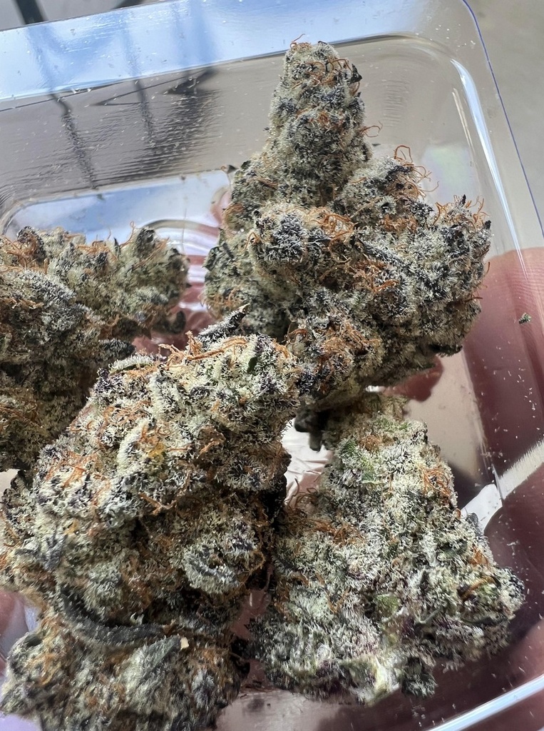 In House Genetics Frozen Grapes Fem 3St. Bild 2