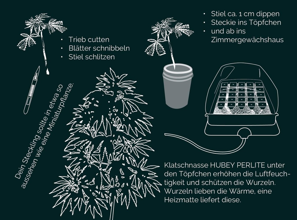 Hubey Bio Rooting Gel 70 ml Bild 2