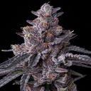 Barneys Farm Zillions Fem 3St. Bild 2