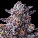 Barneys Farm Zillions Fem 3St. Bild 3
