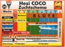 Hesi PK 13/14 – Ansicht 3