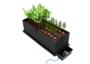 12296-3.png