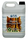 T. A. Humic – Ansicht 4