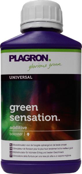 Plagron Green Sensation – Ansicht 2