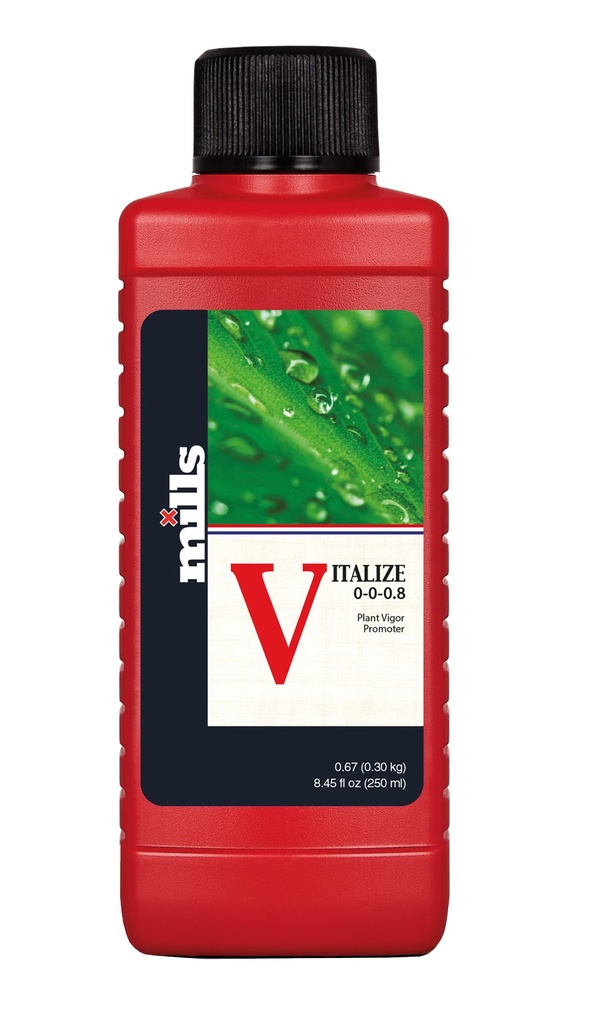 Mills Vitalize – Ansicht 4