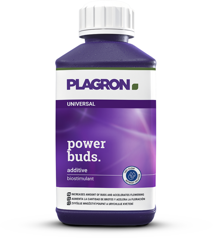 Plagron Power Buds – Ansicht 2