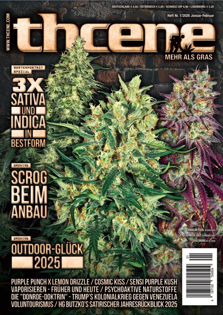 THCENE Magazin – Ansicht 2