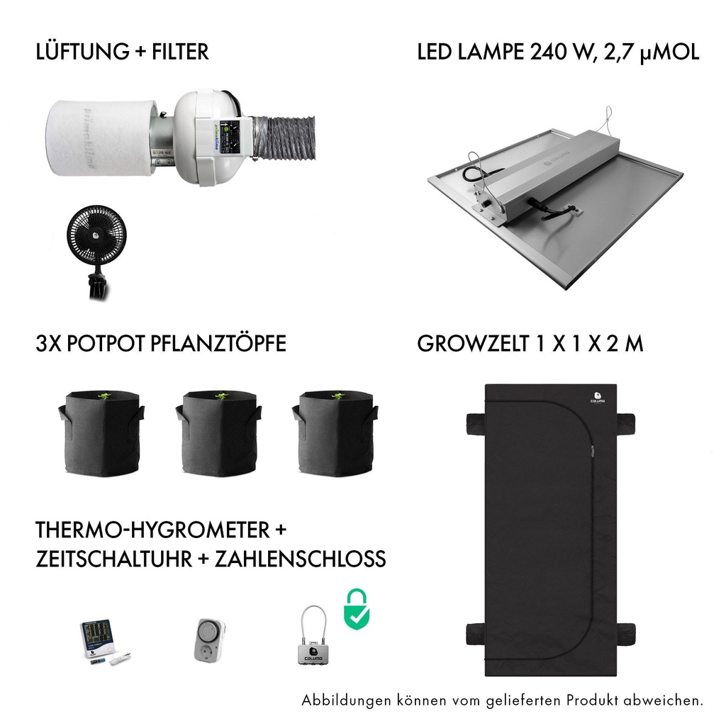 10273-2.jpg