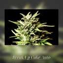 Kannabia Break-Up Cake Auto Fem. 3St. – Ansicht 3