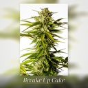 Kannabia Break-Up Cake Fem. 3St. – Ansicht 3