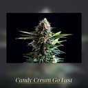 Kannabia Candy Cream Go Fast Fem. 3St. – Ansicht 3