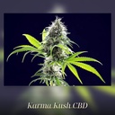 Kannabia Kama Kush CBD Fem. 3St. – Ansicht 3