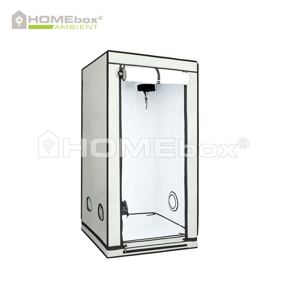 [11245] Homebox Ambient Q80+ 80x80x180cm