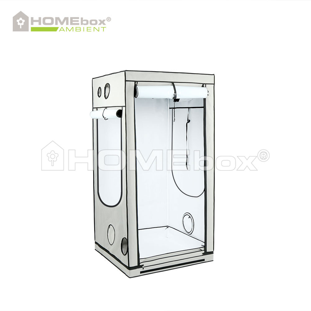 [11290] Homebox Ambient Q100 100x100x200cm