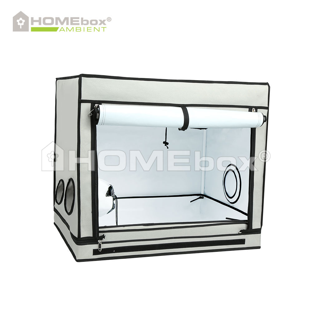 [11699] Homebox Ambient R80S 80x60x70cm