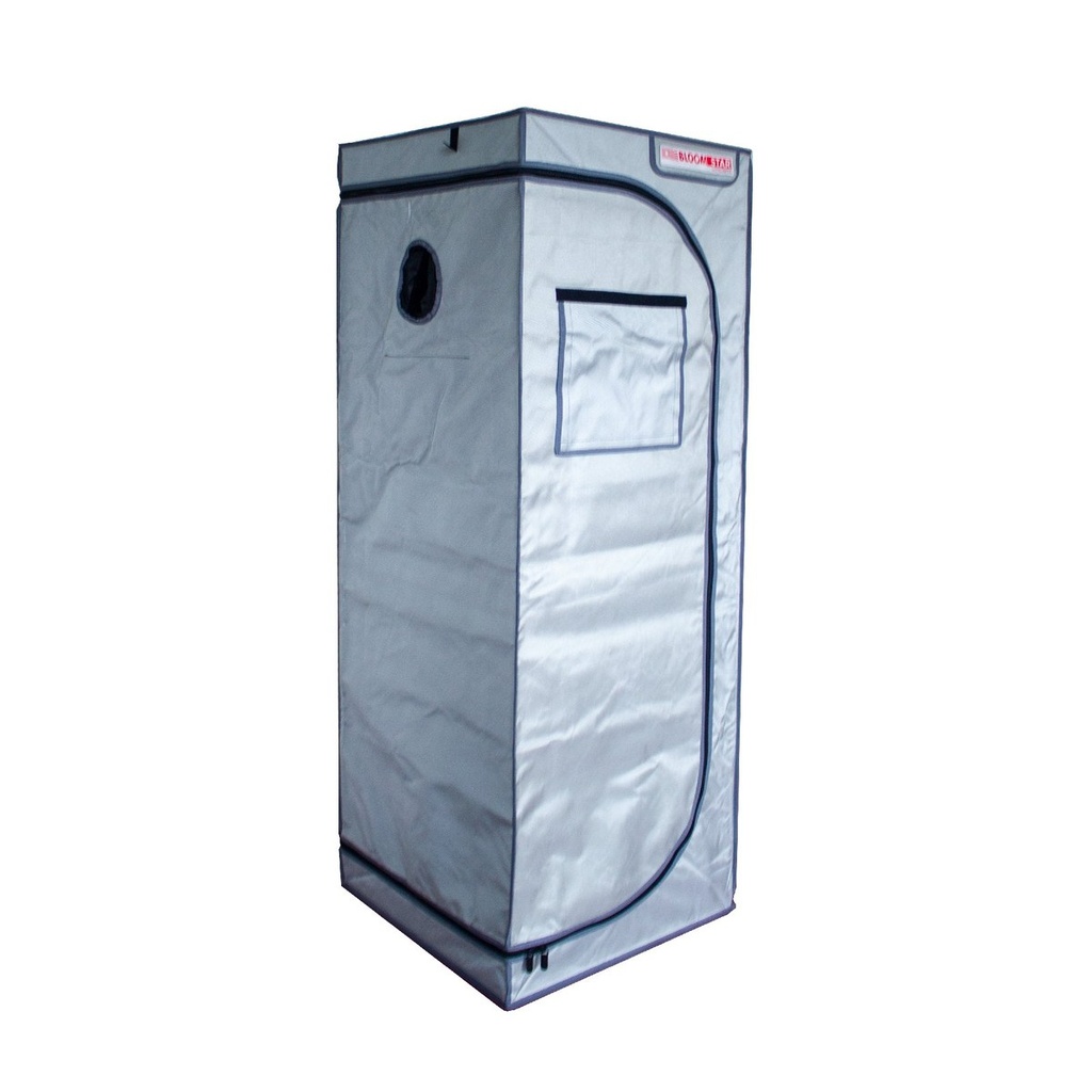 [14754] Bloomstar Box S - 60 x 60 x 160 cm