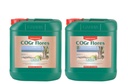 CANNA COGr Flores A + B