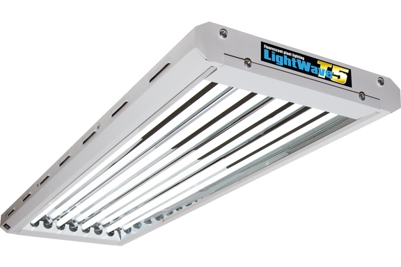 [11391] Lightwave T5 44- HO 216W