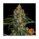 Barneys Farm Shiskaberry Fem 3St.