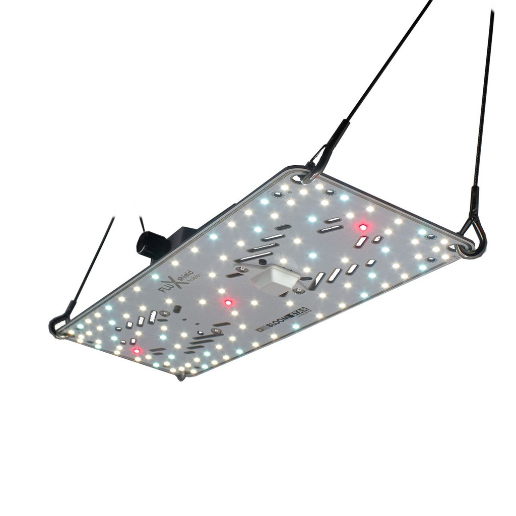 [14342] BloomStar FLUXshield Habibi 150 - 50W Vollspektrum
