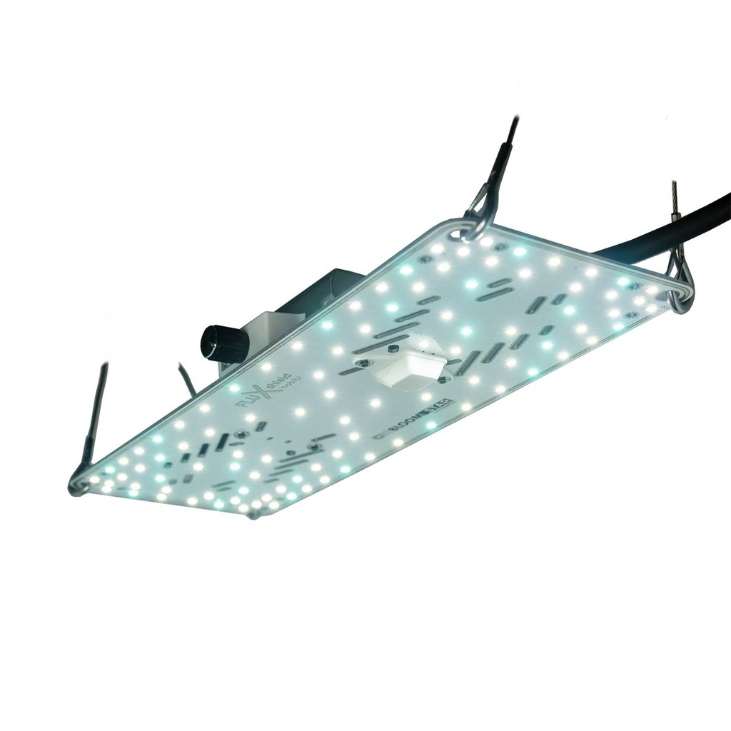 [14343] BloomStar FLUXshield Habibi 140 - 50W Wachstum