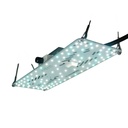 BloomStar FLUXshield Habibi 140 - 50W Wachstum