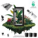 Caluma Set - 3 Plants Premium (100 x 100 cm, 240 W)