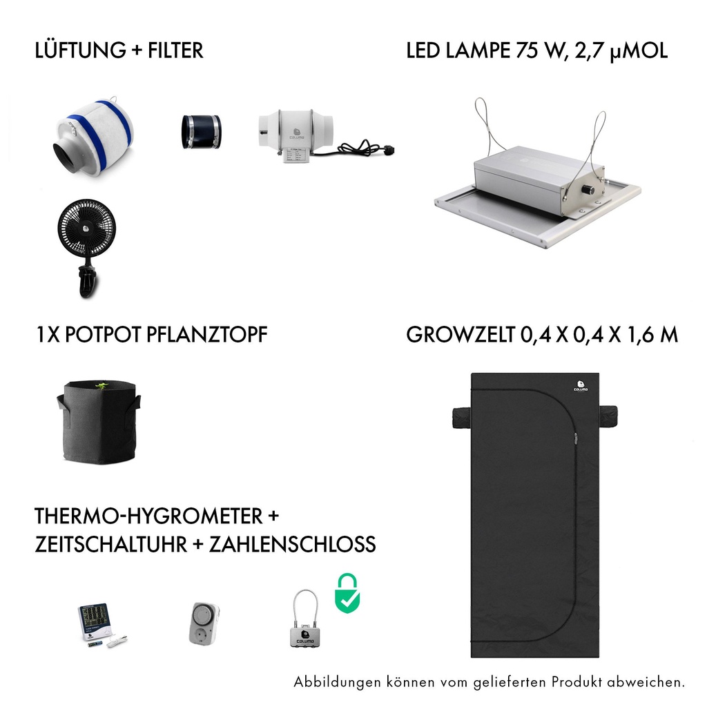 [10755] Caluma Set - 1 Plant (40 x 40 cm, 75 W)