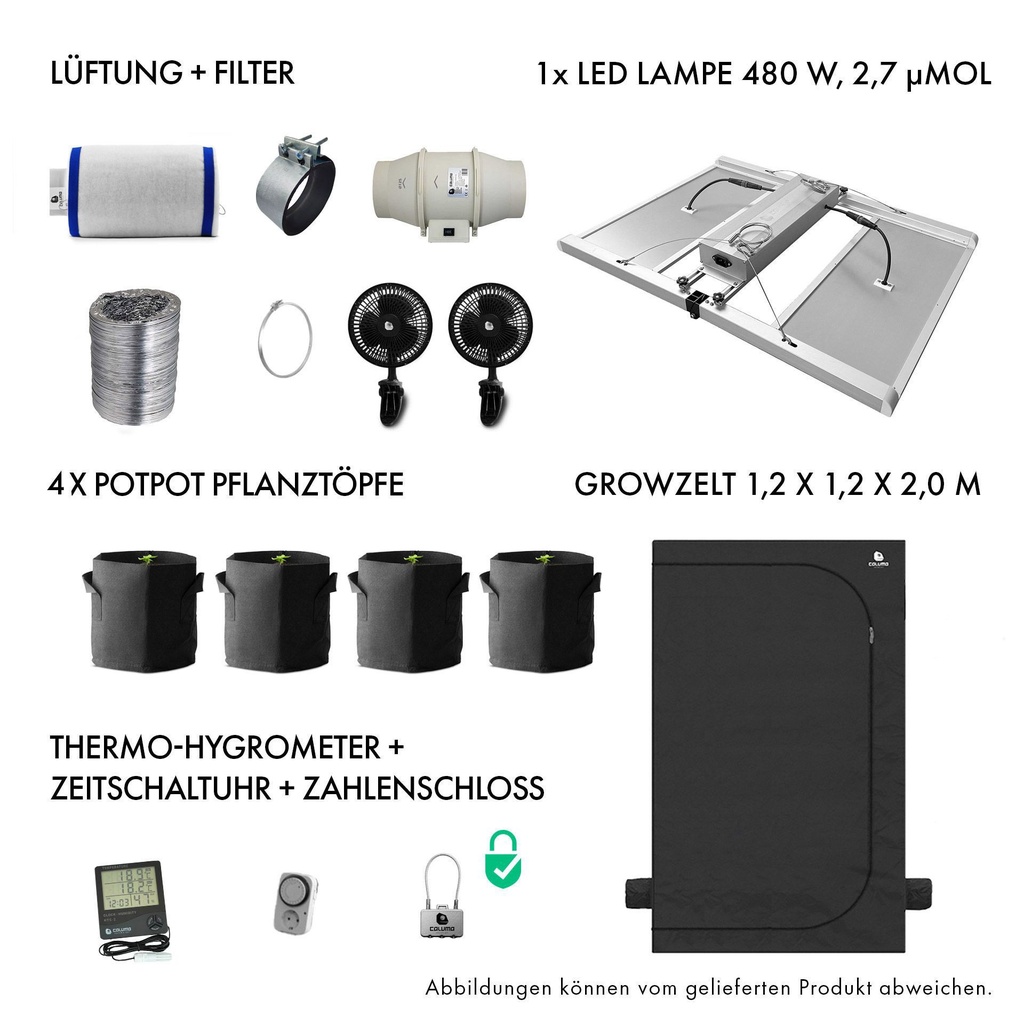 [11016] Caluma Set - 4 Plants Plus (120 x 120, 480 W)