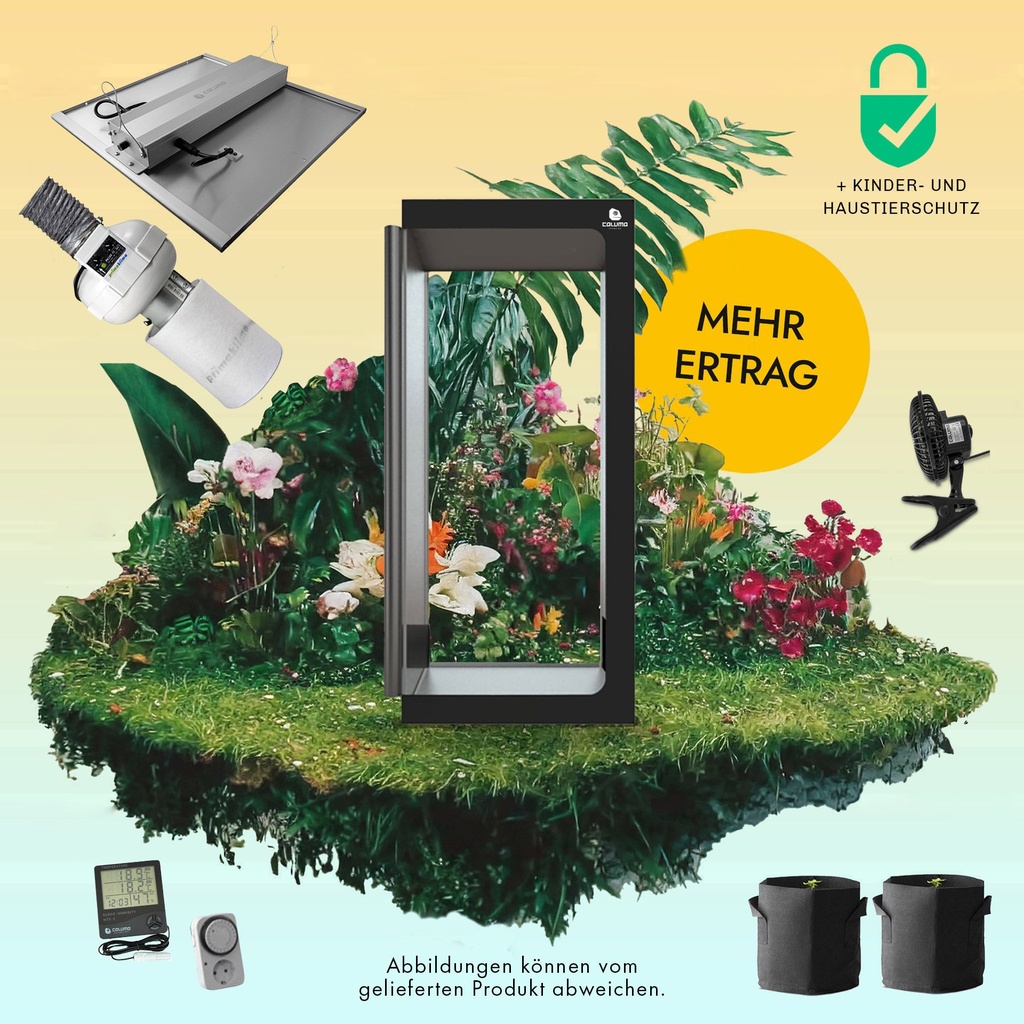 [11240] Caluma Set - 2 Plants Plus Premium (80 x 80 cm, 240 W)