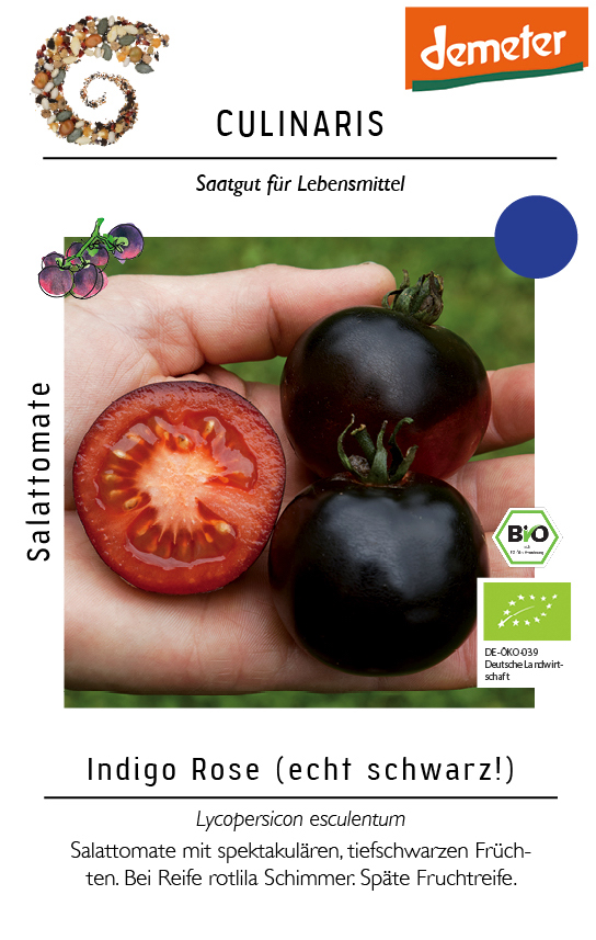 [14212] Salattomate Indigo Rose