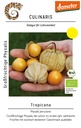 Großfrüchtige Physalis Tropicana