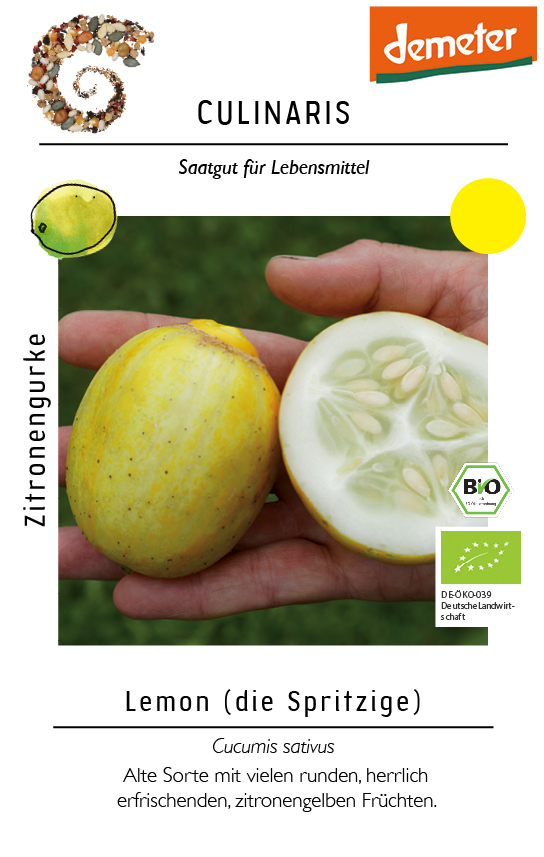 [14219] Zitronengurke, Lemon