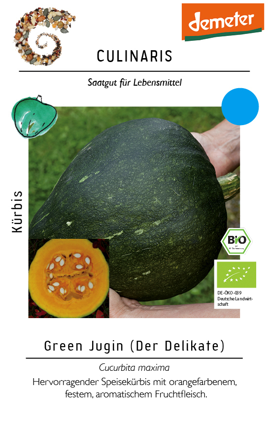[14220] Kürbis Green Jugin