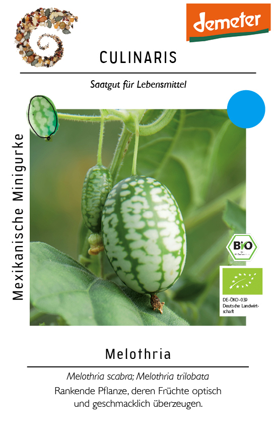 [14222] Mexikanische Minigurke