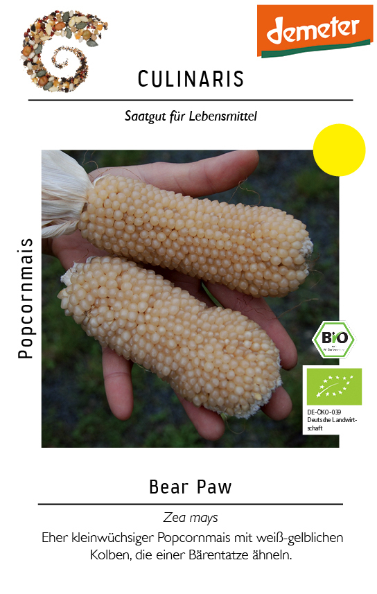[14227] Popcornmais Bear Paw
