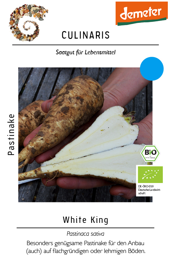 [14229] Pastinake White King