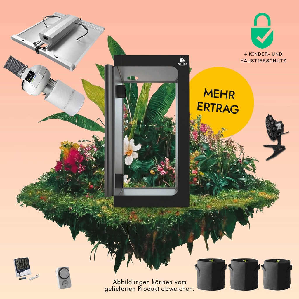 [12059] Caluma Set - 3 Plants Plus Premium (100 x 100 cm, 320 W)
