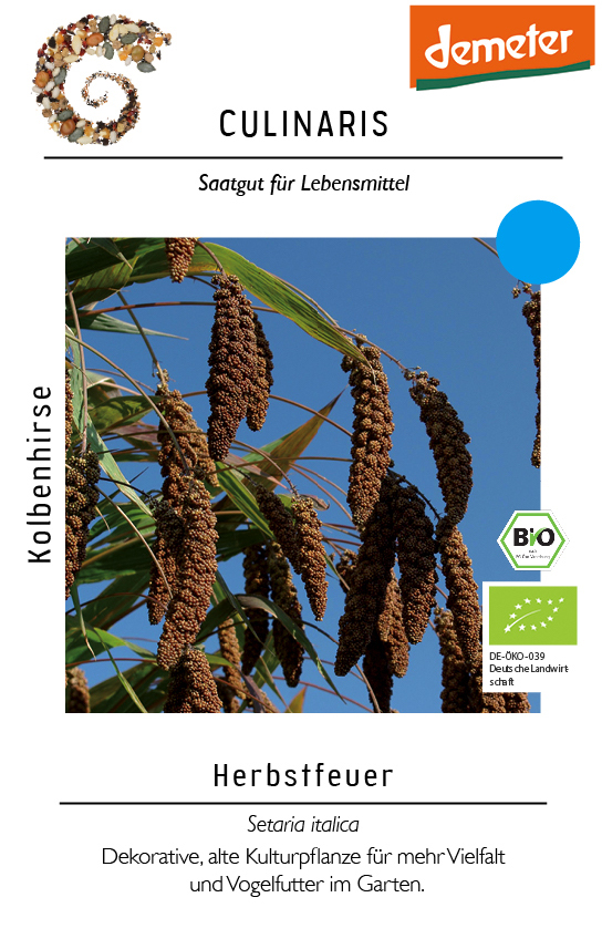[14234] Kolbenhirse Herbstfeuer