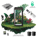 Caluma Set - 2 Plants Premium (80 x 80 cm, 150 W)