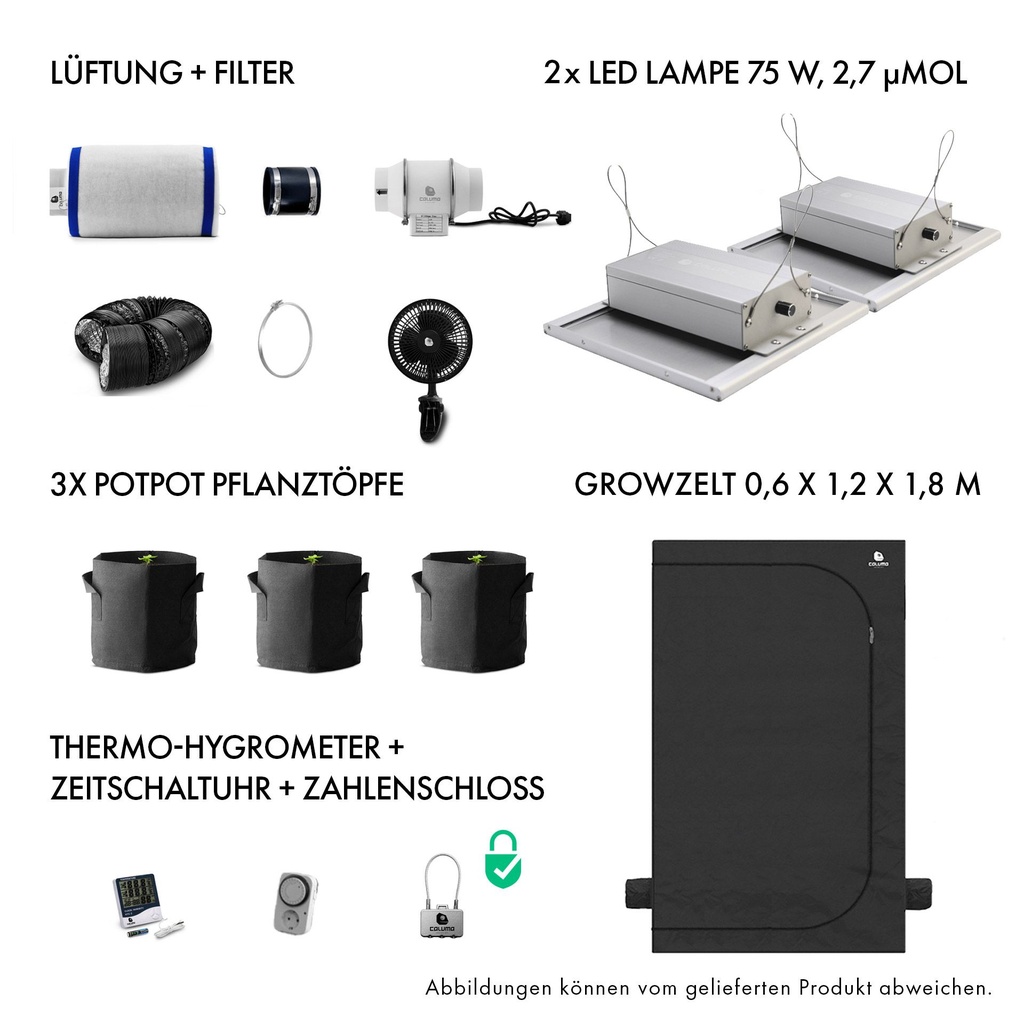 [12858] Caluma Set Ambient - 3 Plants (60 x 120 cm, 2 x 75 W)