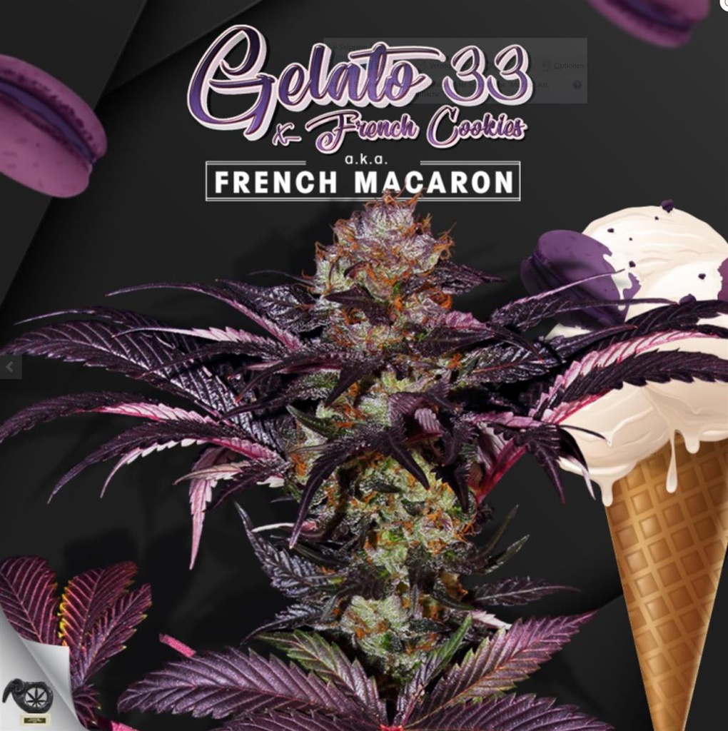 [14641] T.H. Seeds French Macaron - Gelato 33 X French Cookies Fem. 6St.