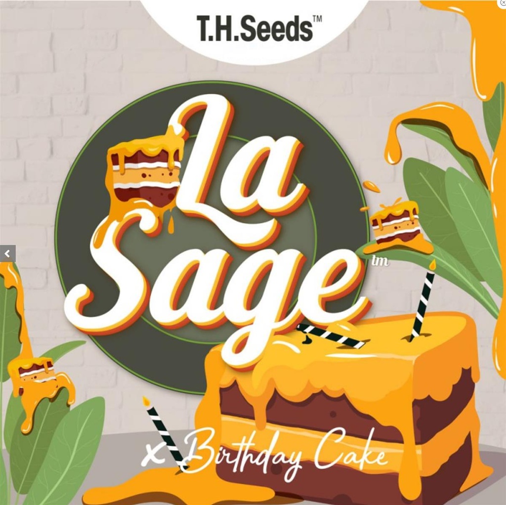 [14642] T.H. Seeds La S.A.G.E. Cake Reg. 11St.