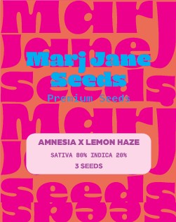 [14725] Marj Jane Amnesia X Lemon Haze Fem. 3St.