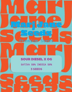 [14729] Marj Jane Sour Diesel X OG Fem. 3St.