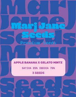 [14735] Marj Jane Apple Banana X Gelato Mintz Fem. 3St.