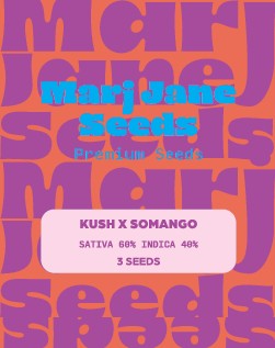 [14737] Marj Jane Kush X Somango Fem. 3St.