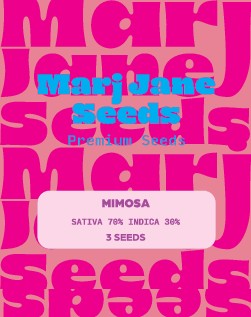 [14739] Marj Jane Mimosa Fem. 3St.