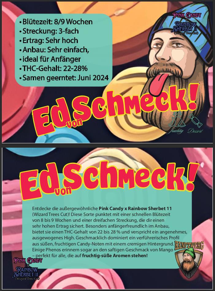 [14750] Hanfzwerg Ed von Schmeck Fem. 3St.